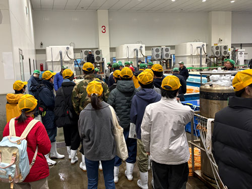 新渡戸文化高等学校