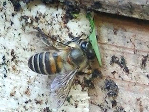 ナショジオ大学HP写真候補