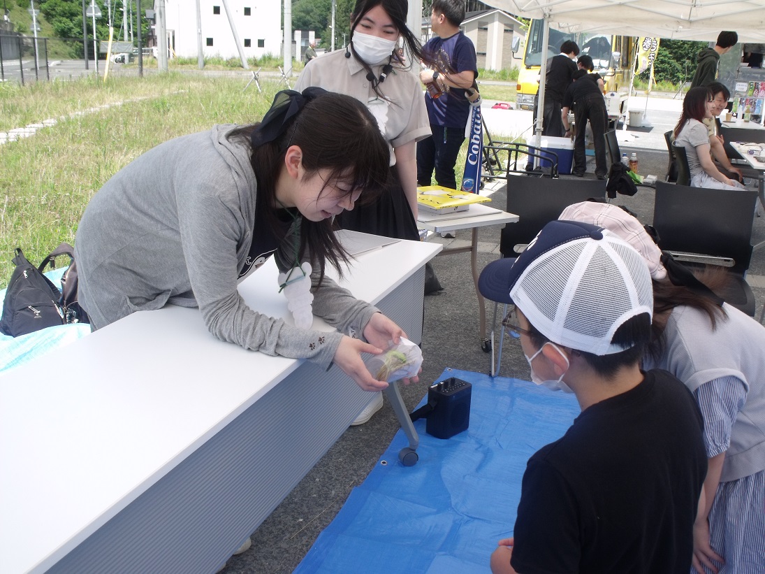 lib_20260617_コバルトーレ03