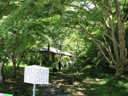 涌谷茶道体験①