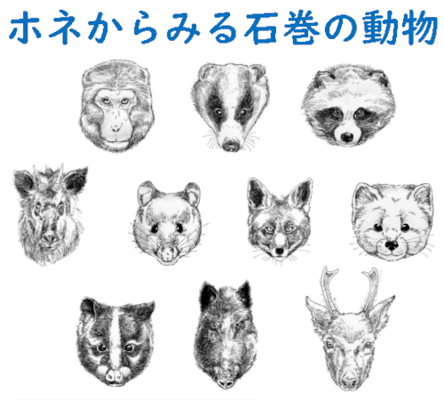 辻大和先生ワークショップ