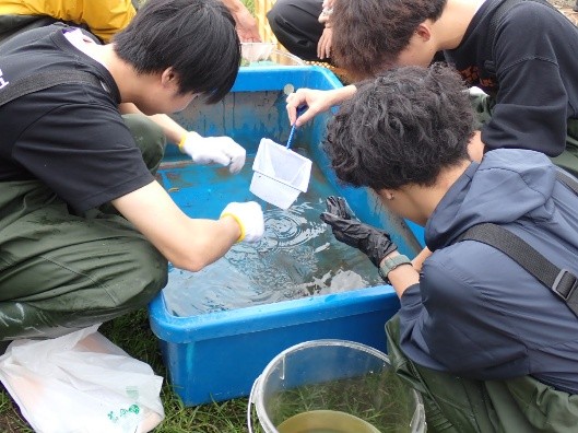 BI⑦