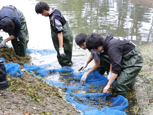 【食環境学科・生物科学科】大学池での実習_06