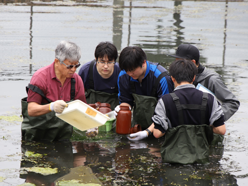 【食環境学科・生物科学科】大学池での実習_03