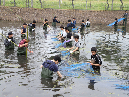 【食環境学科・生物科学科】大学池での実習_05