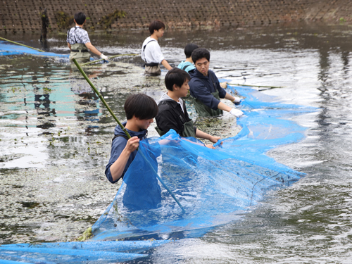 【食環境学科・生物科学科】大学池での実習_04