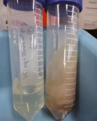 DHA・EPA②