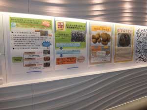 石巻市水産総合振興センターに石原研究室の取り組みが展示04