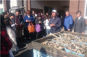 生物科学科の学生が石巻魚市場 宮城県漁業協同組合石巻湾支所万石浦鮮かき工場 末永海産を見学 石巻専修大学