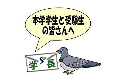 伝書鳩no.11