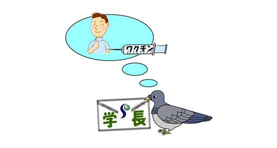 伝書鳩no13