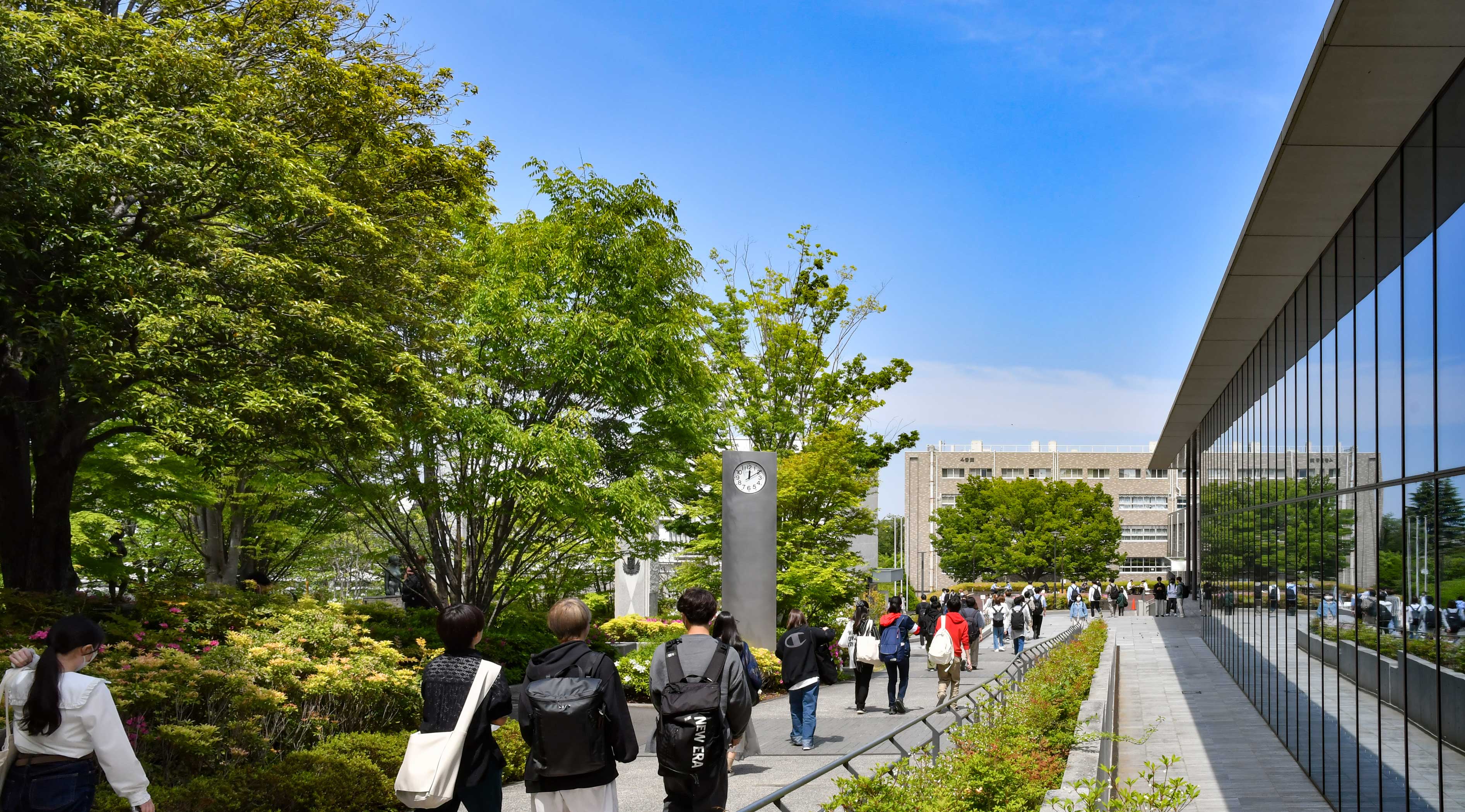 新緑輝く キャンパス 笑顔あふれる | 専修大学