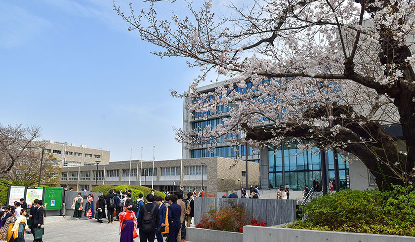 ikuta_gate_cb 1585899507853
