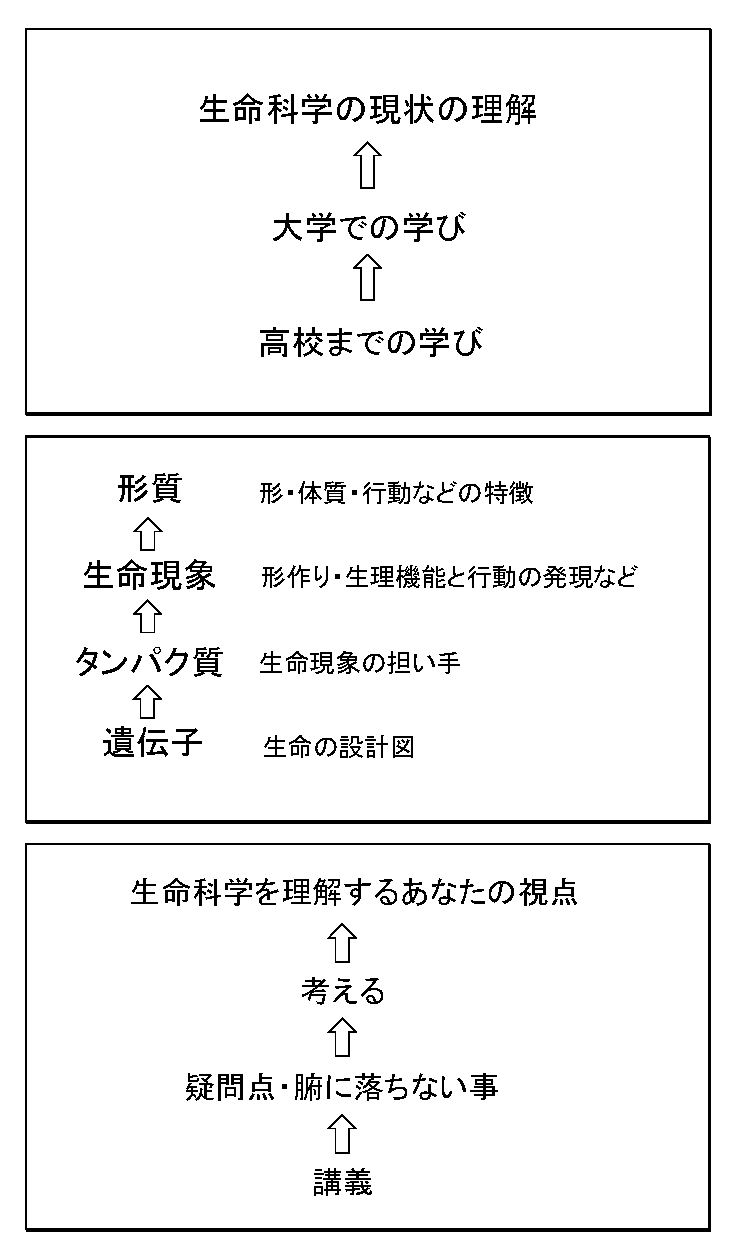 yoshie_keizai