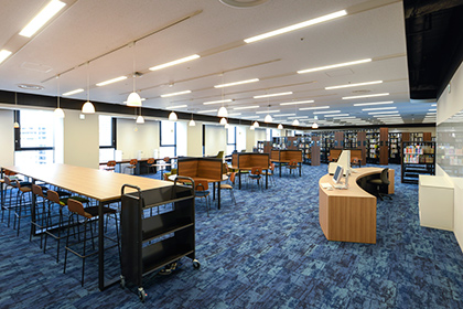 abm00045421